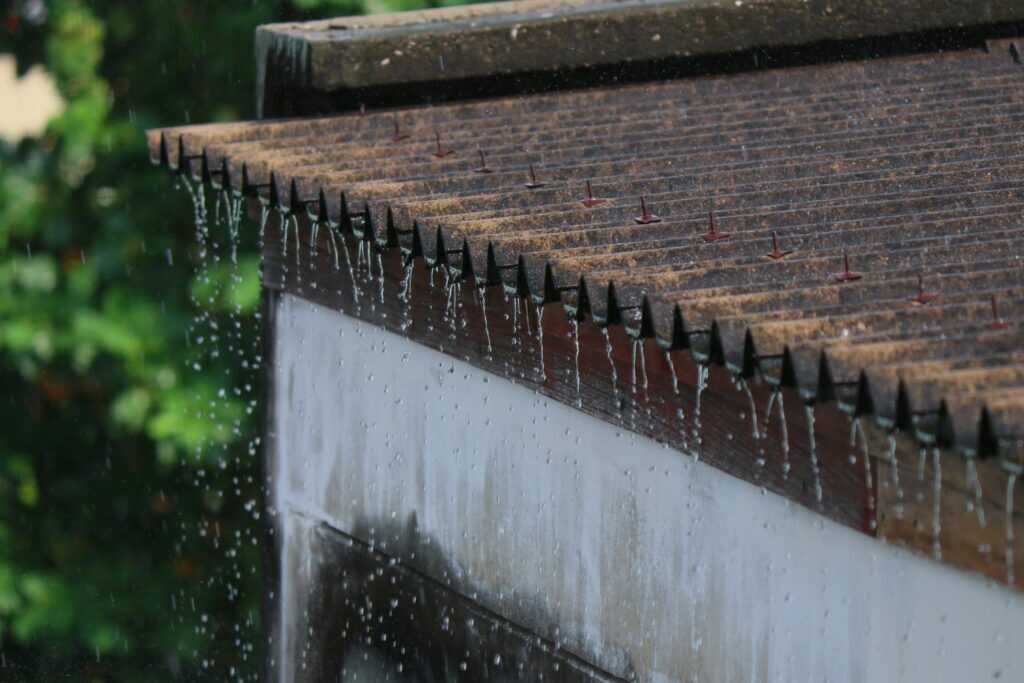 perfect-contractor-group Gutter-Overflow